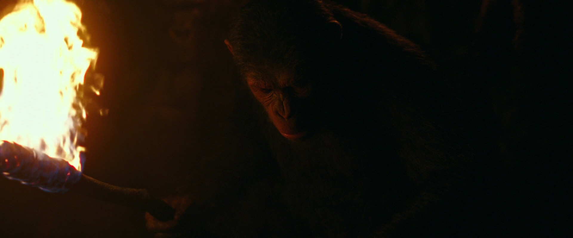 War for the Planet of the Apes (2017) movie still 2341