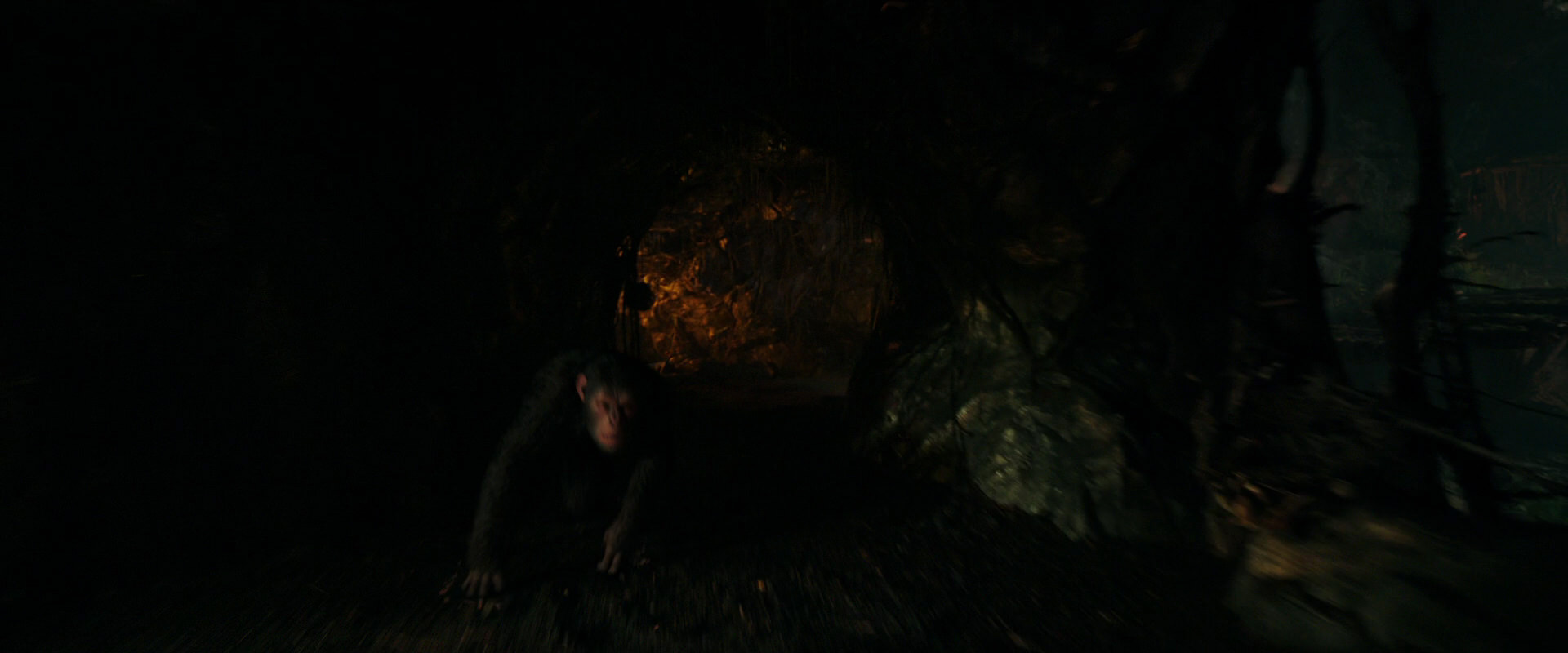 War for the Planet of the Apes (2017) movie still 2377
