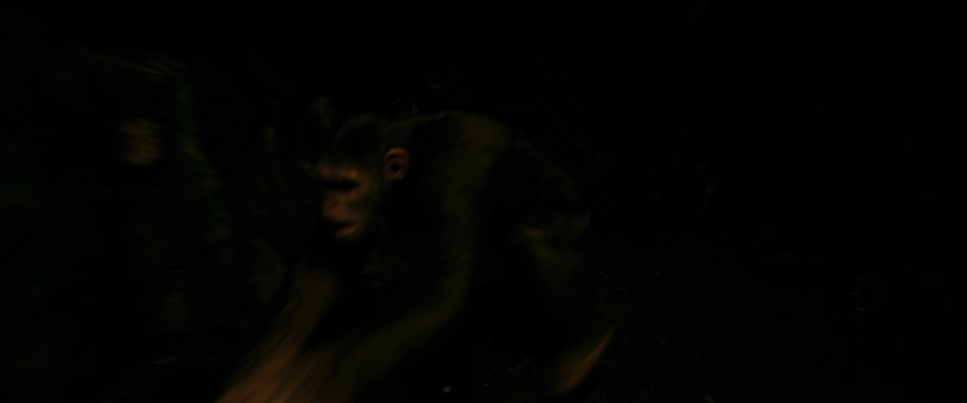 War for the Planet of the Apes (2017) HD screenshot 2381
