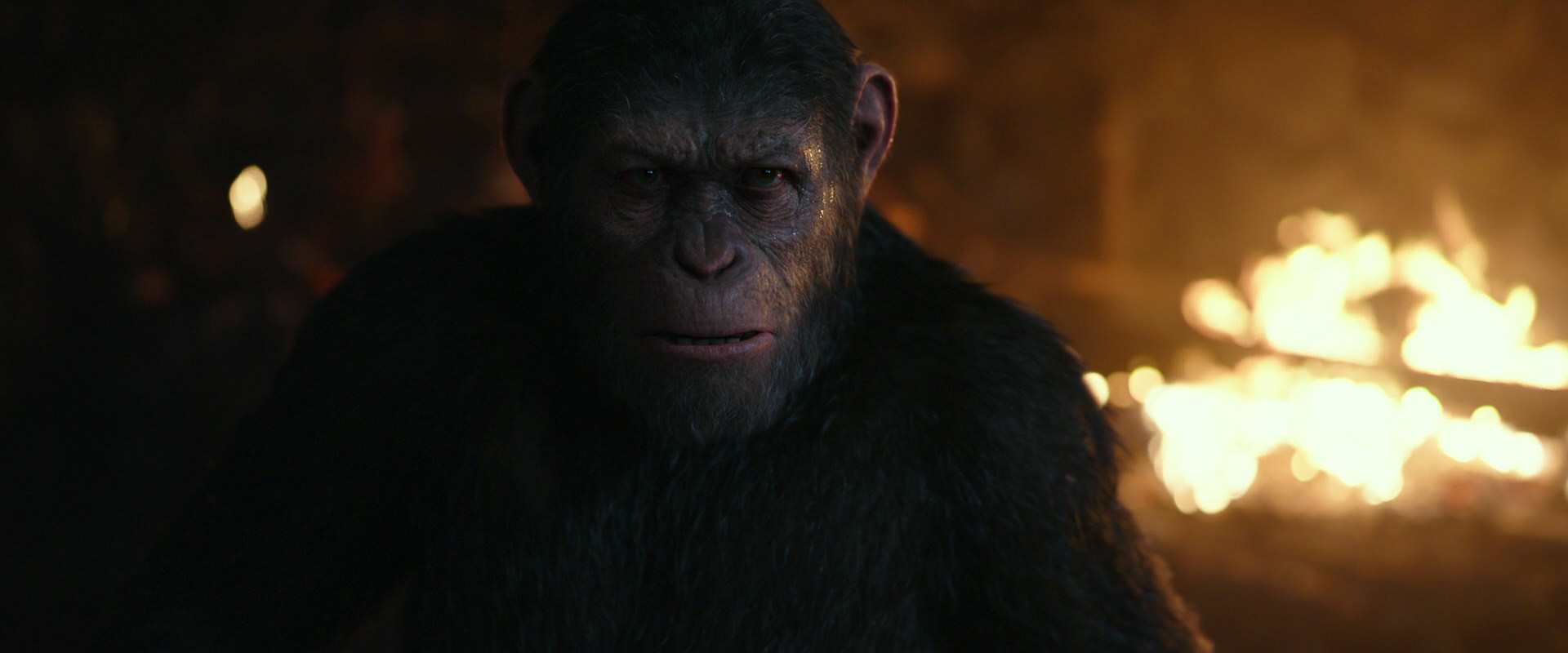 War for the Planet of the Apes (2017) screencap 2403