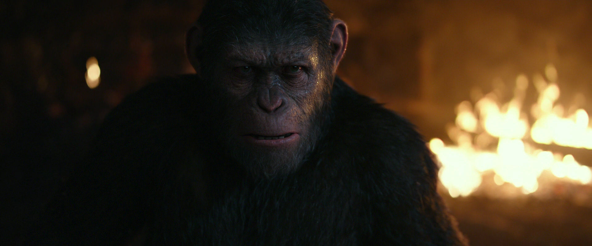 War for the Planet of the Apes (2017) movie still 2404