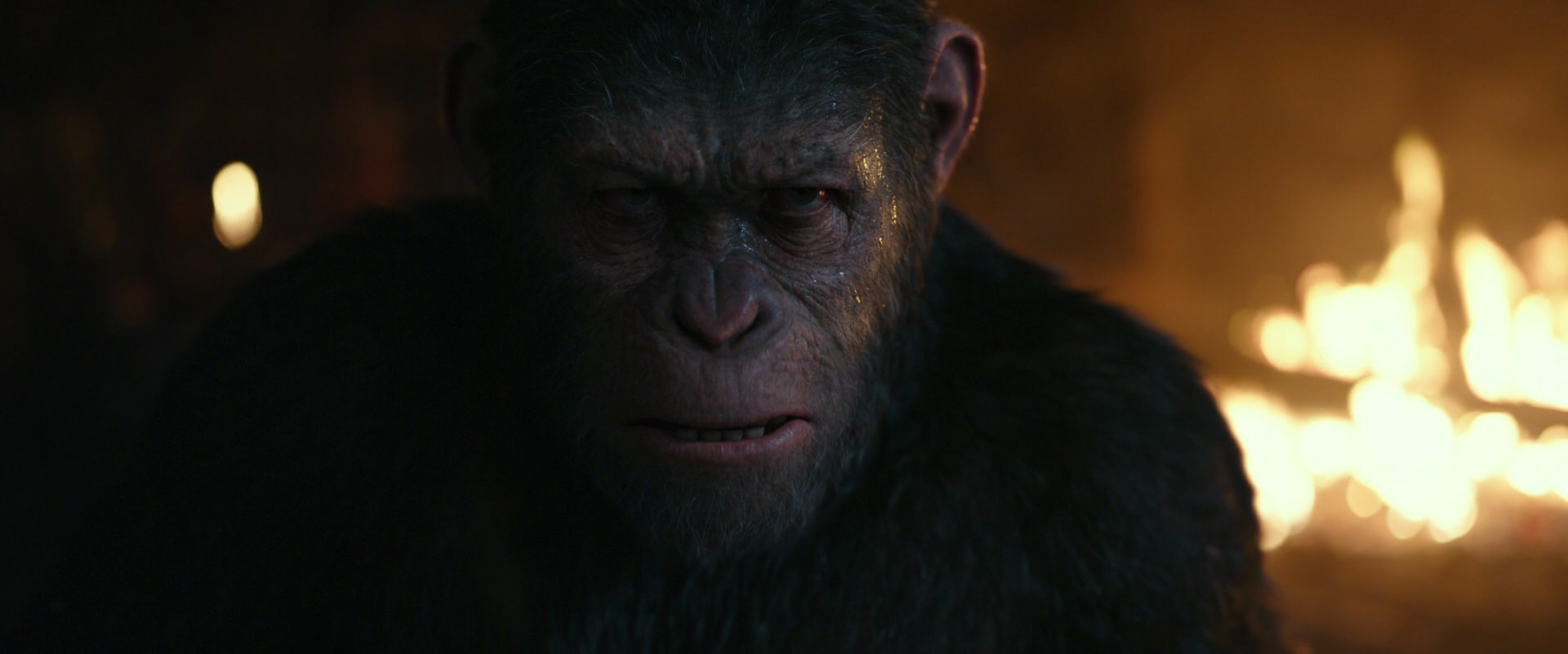 War for the Planet of the Apes (2017) screencap 2406