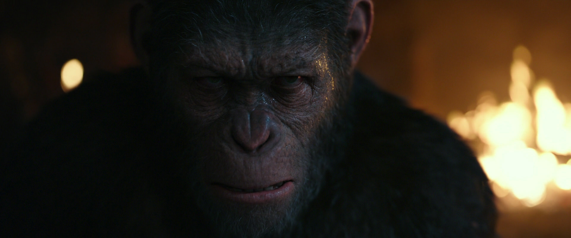 War for the Planet of the Apes (2017) HD screenshot 2408
