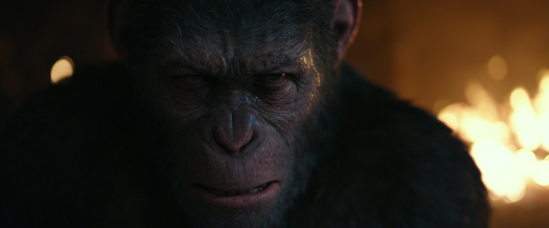 War for the Planet of the Apes (2017) screencap 2409