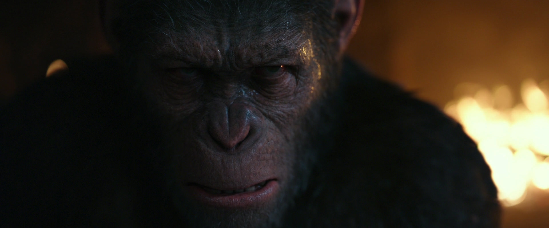 War for the Planet of the Apes (2017) movie still 2410