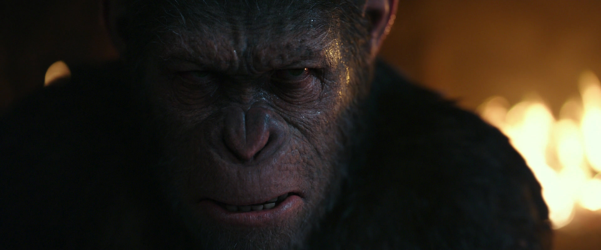 War for the Planet of the Apes (2017) HD screenshot 2411