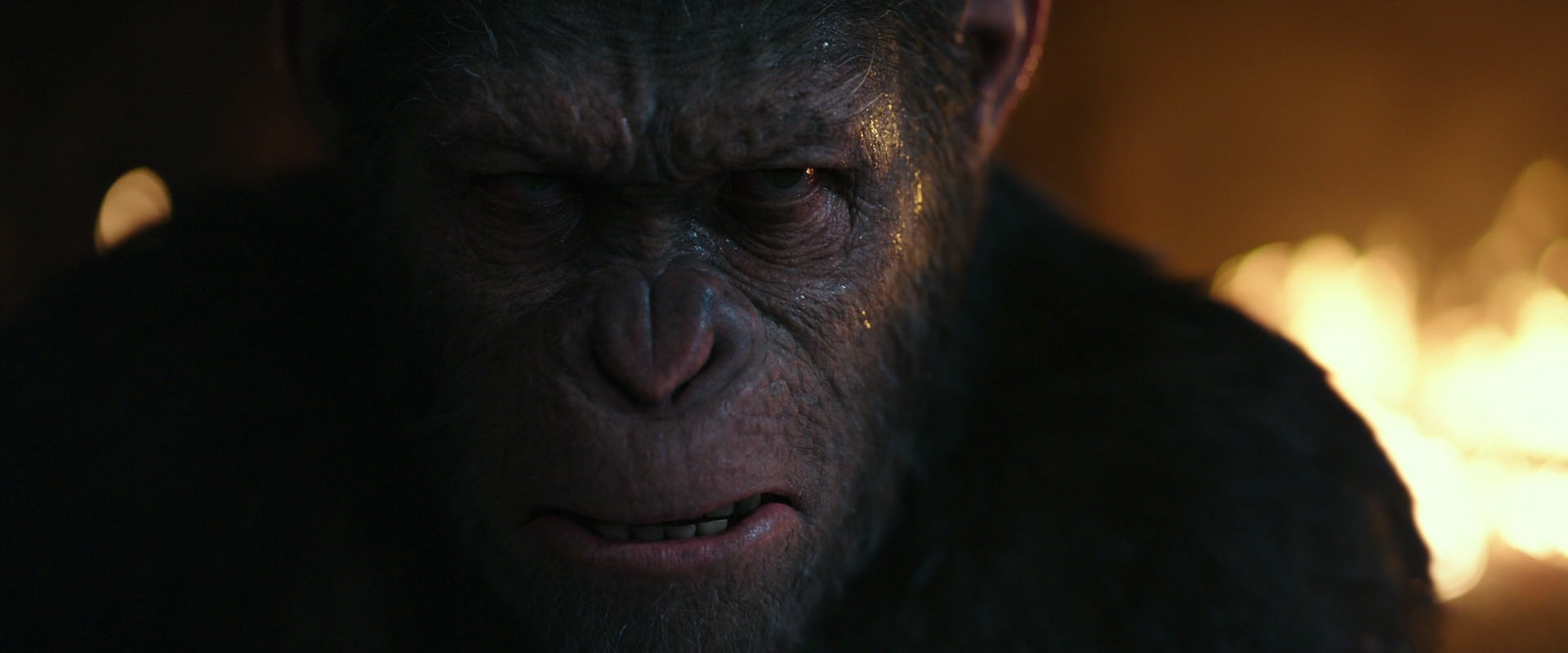 War for the Planet of the Apes (2017) screencap 2412