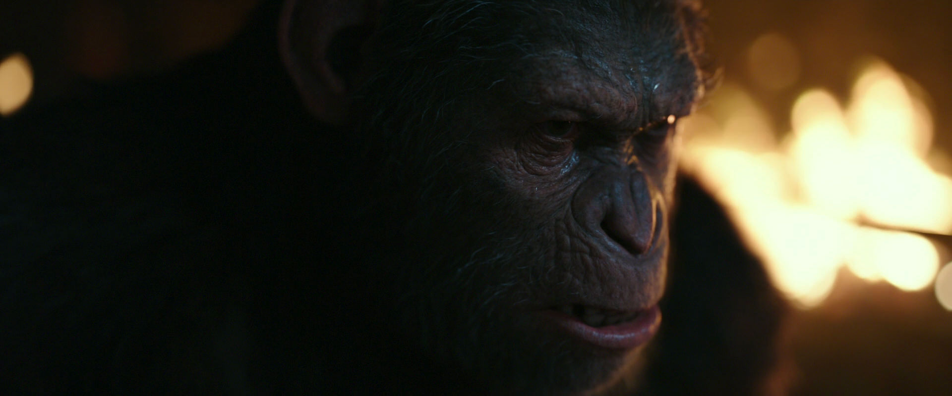 War for the Planet of the Apes (2017) screencap 2433
