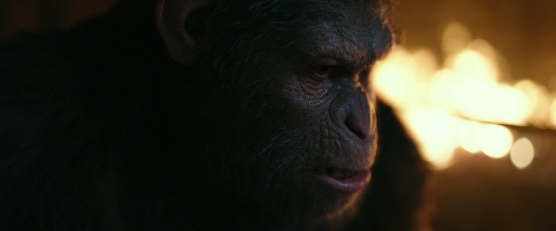 War for the Planet of the Apes (2017) movie still 2434