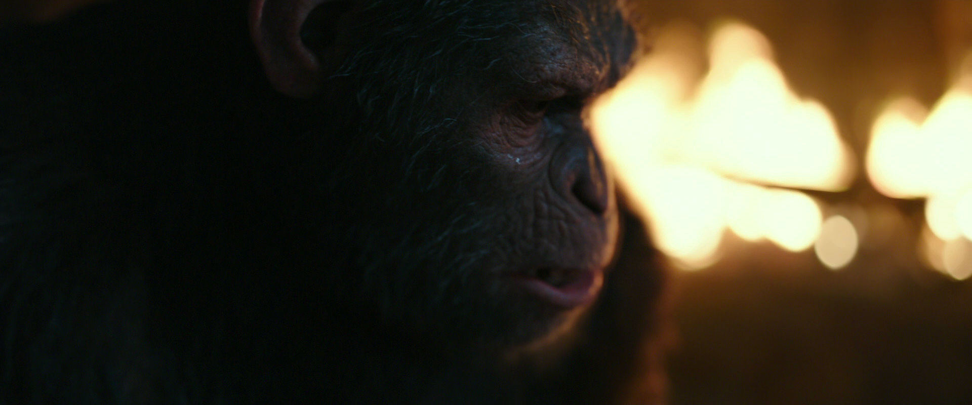 War for the Planet of the Apes (2017) HD screenshot 2435