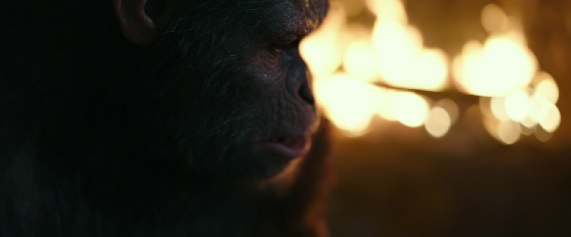 War for the Planet of the Apes (2017) screencap 2436