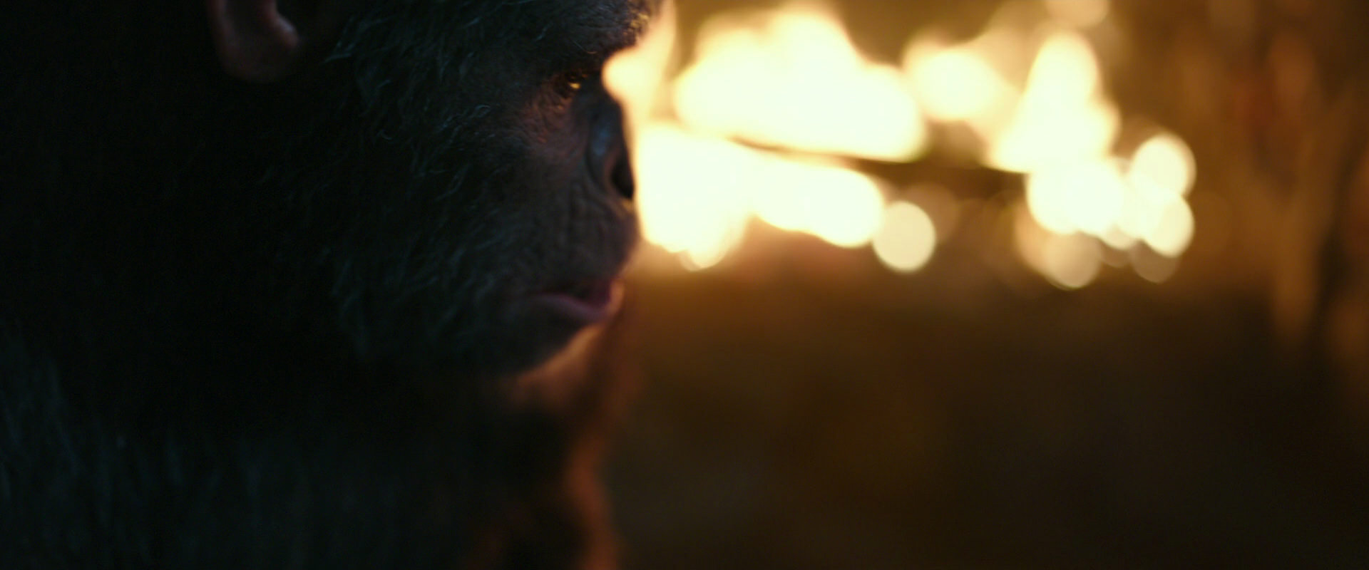 War for the Planet of the Apes (2017) movie still 2437