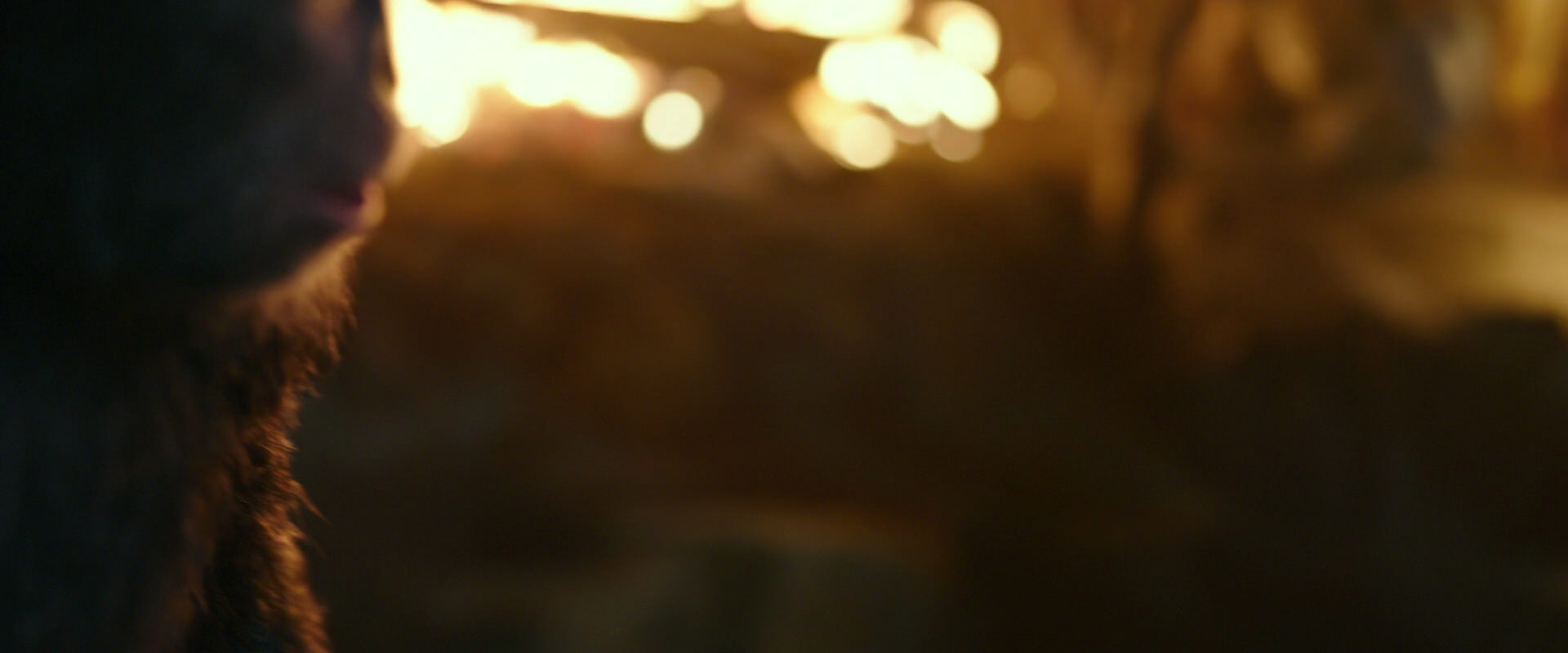 War for the Planet of the Apes (2017) screencap 2439