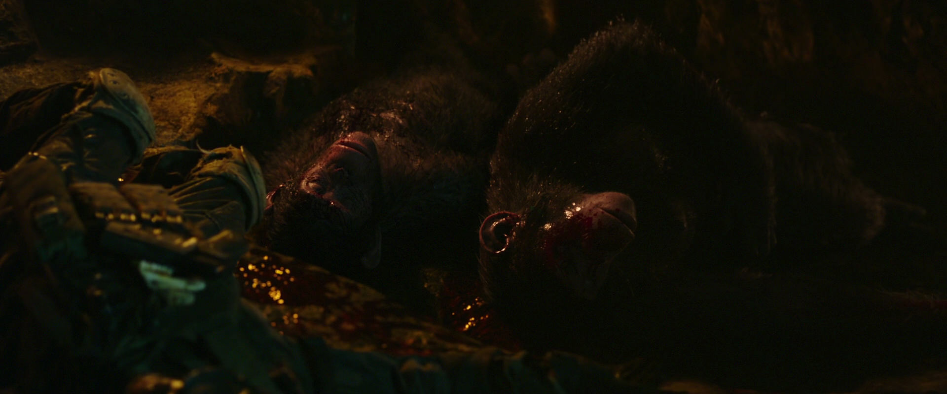 War for the Planet of the Apes (2017) movie still 2452