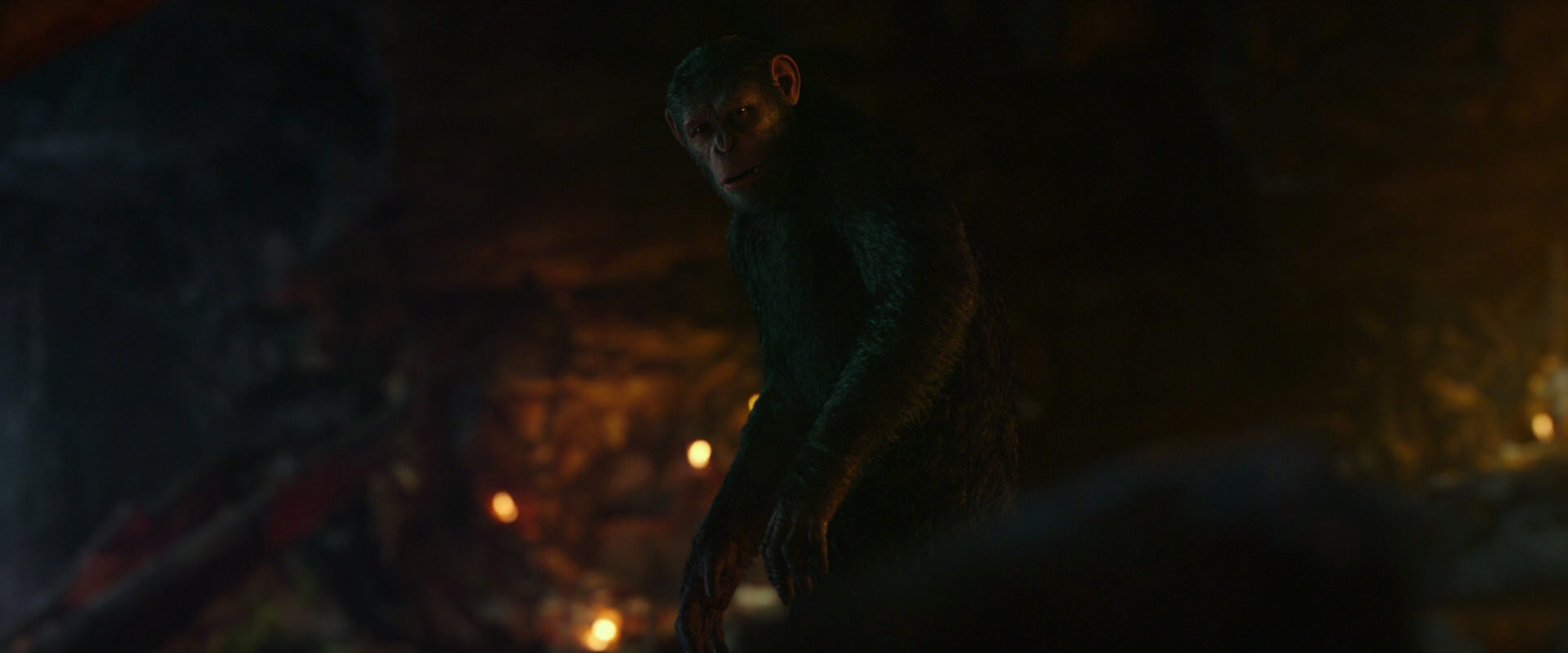 War for the Planet of the Apes (2017) screencap 2454