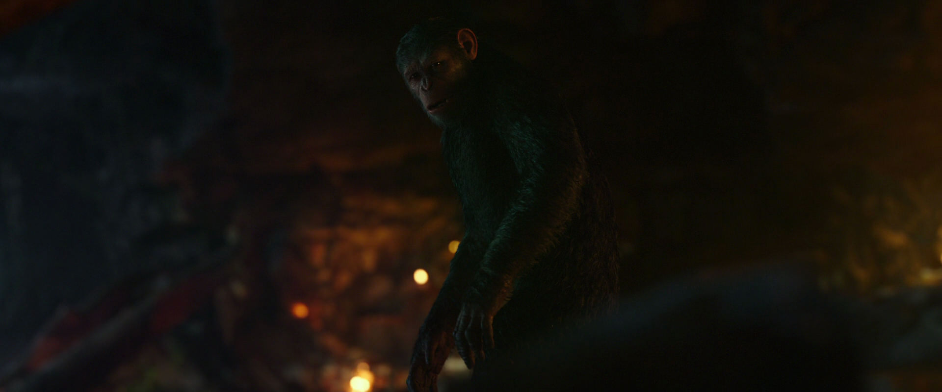 War for the Planet of the Apes (2017) screencap 2457