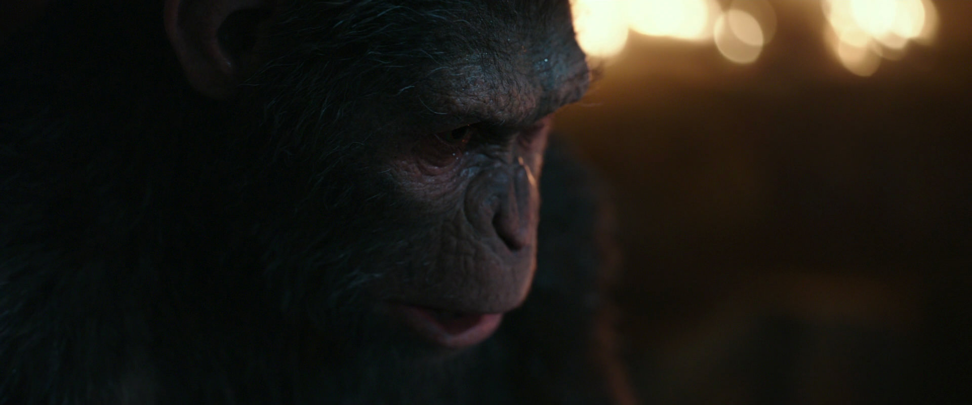 War for the Planet of the Apes (2017) screencap 2460