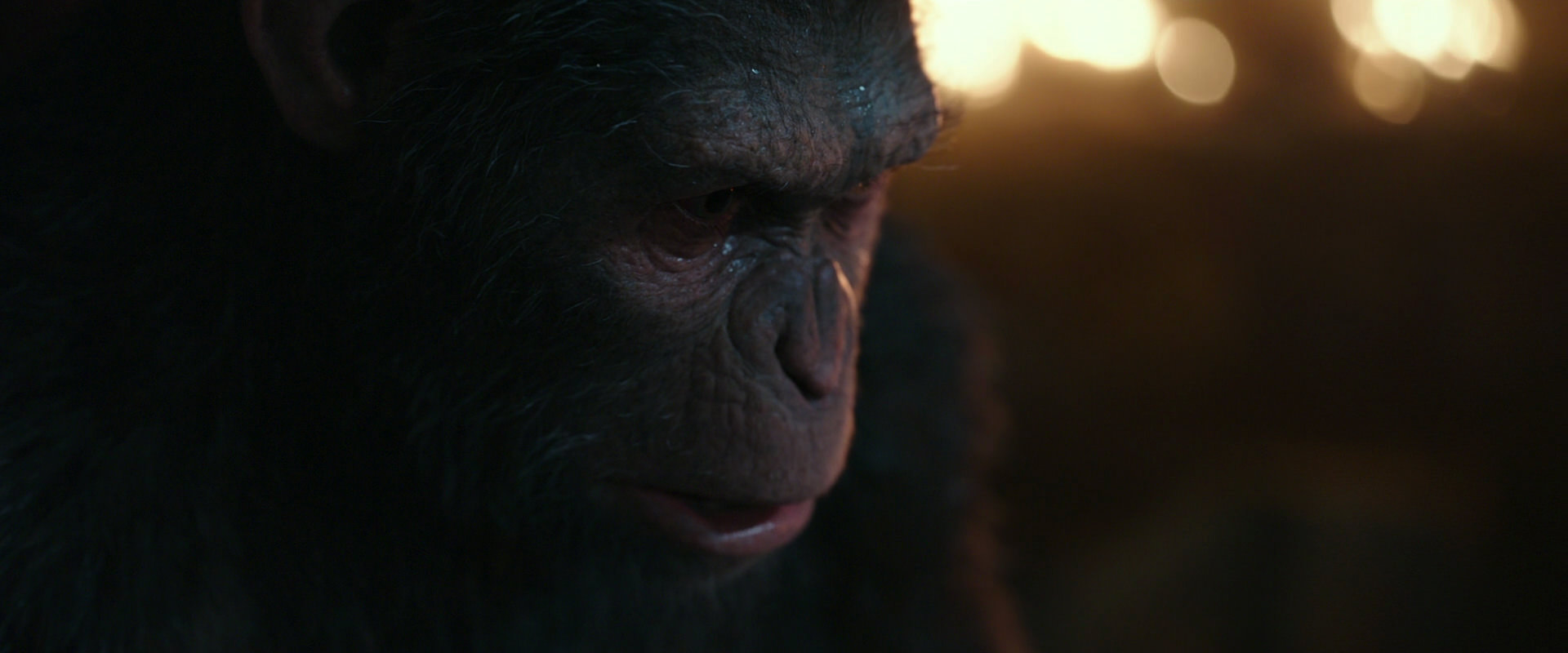 War for the Planet of the Apes (2017) movie still 2461