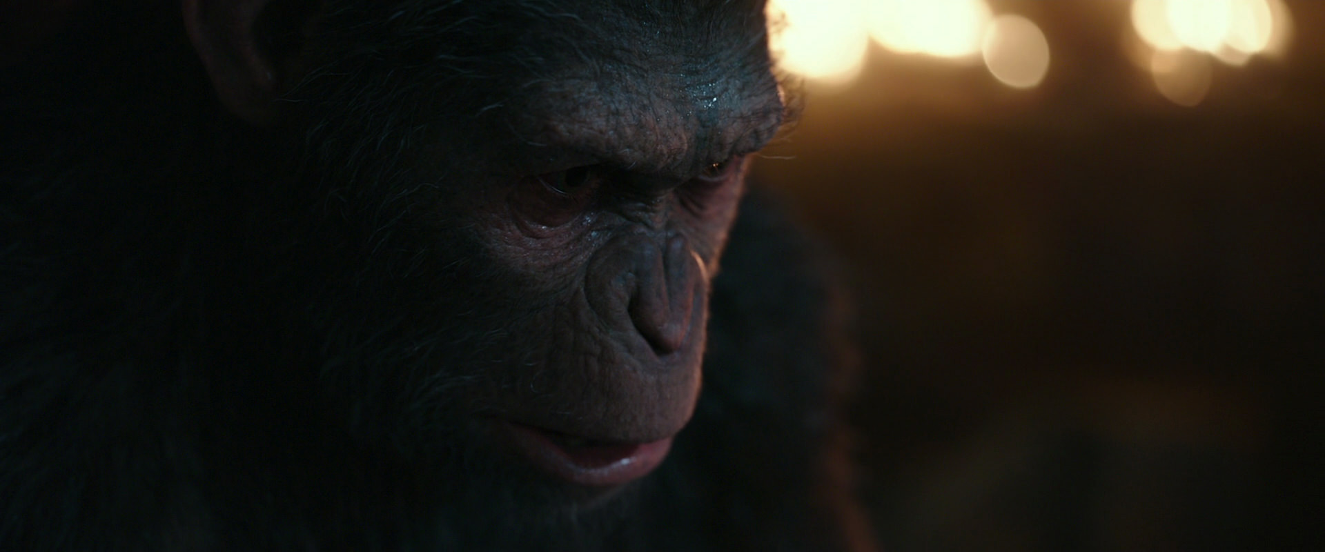 War for the Planet of the Apes (2017) HD screenshot 2462