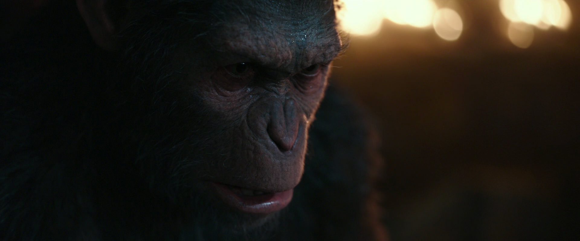 War for the Planet of the Apes (2017) screencap 2463