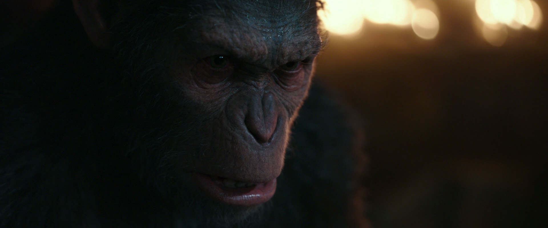 War for the Planet of the Apes (2017) movie still 2464
