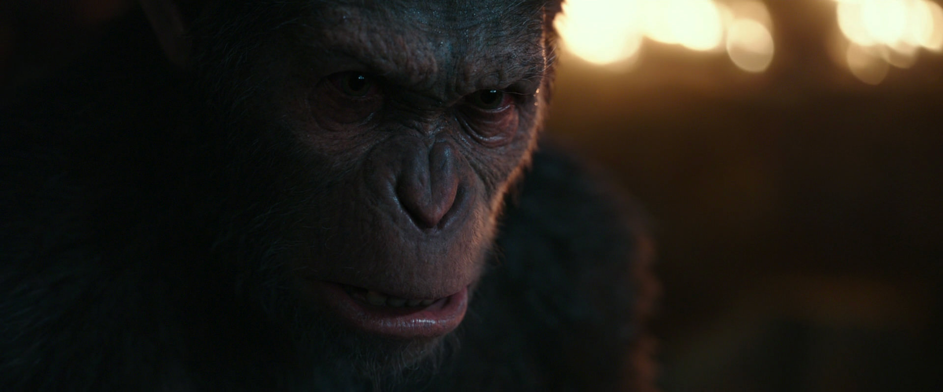 War for the Planet of the Apes (2017) screencap 2466