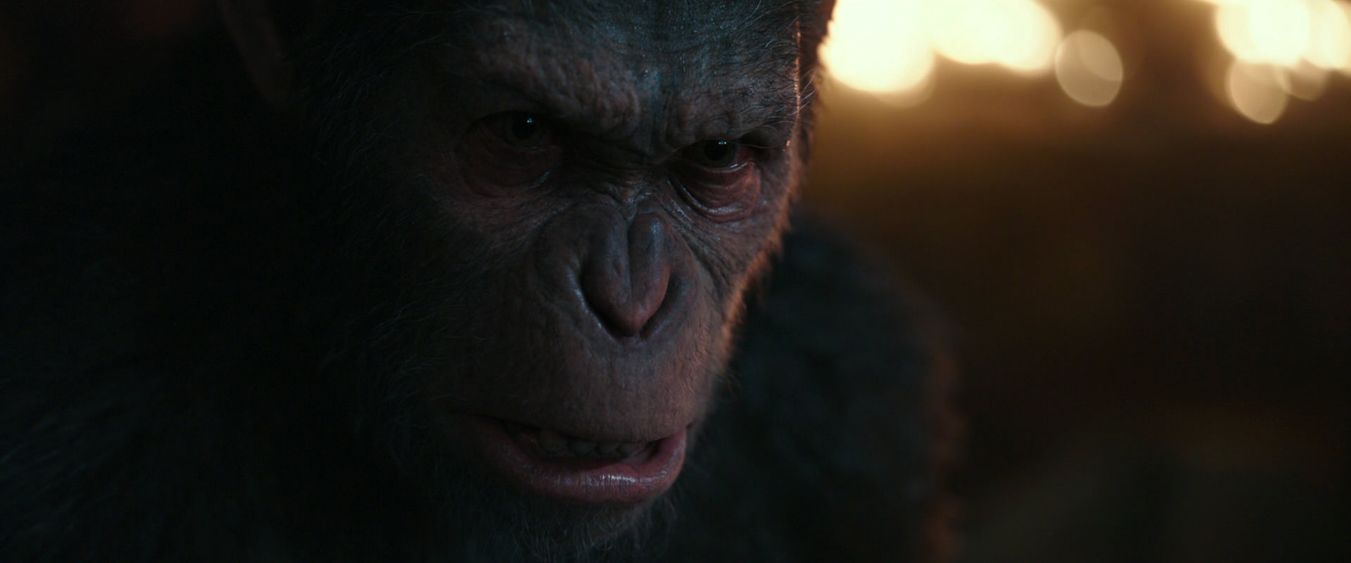 War for the Planet of the Apes (2017) movie still 2467