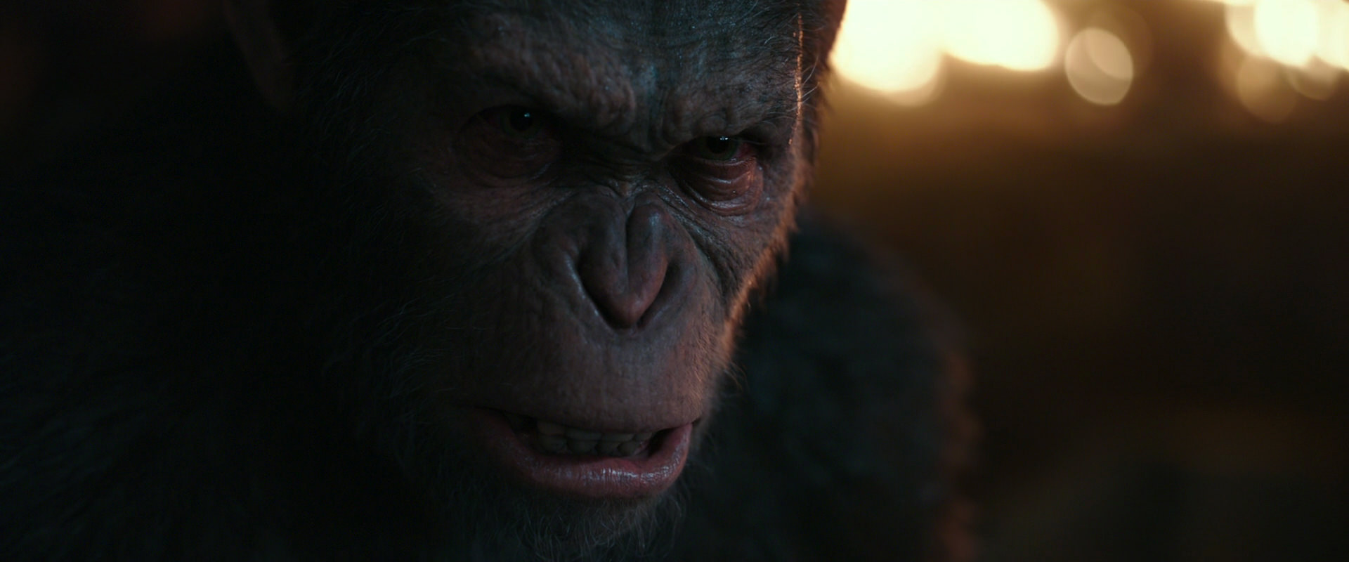 War for the Planet of the Apes (2017) HD screenshot 2468