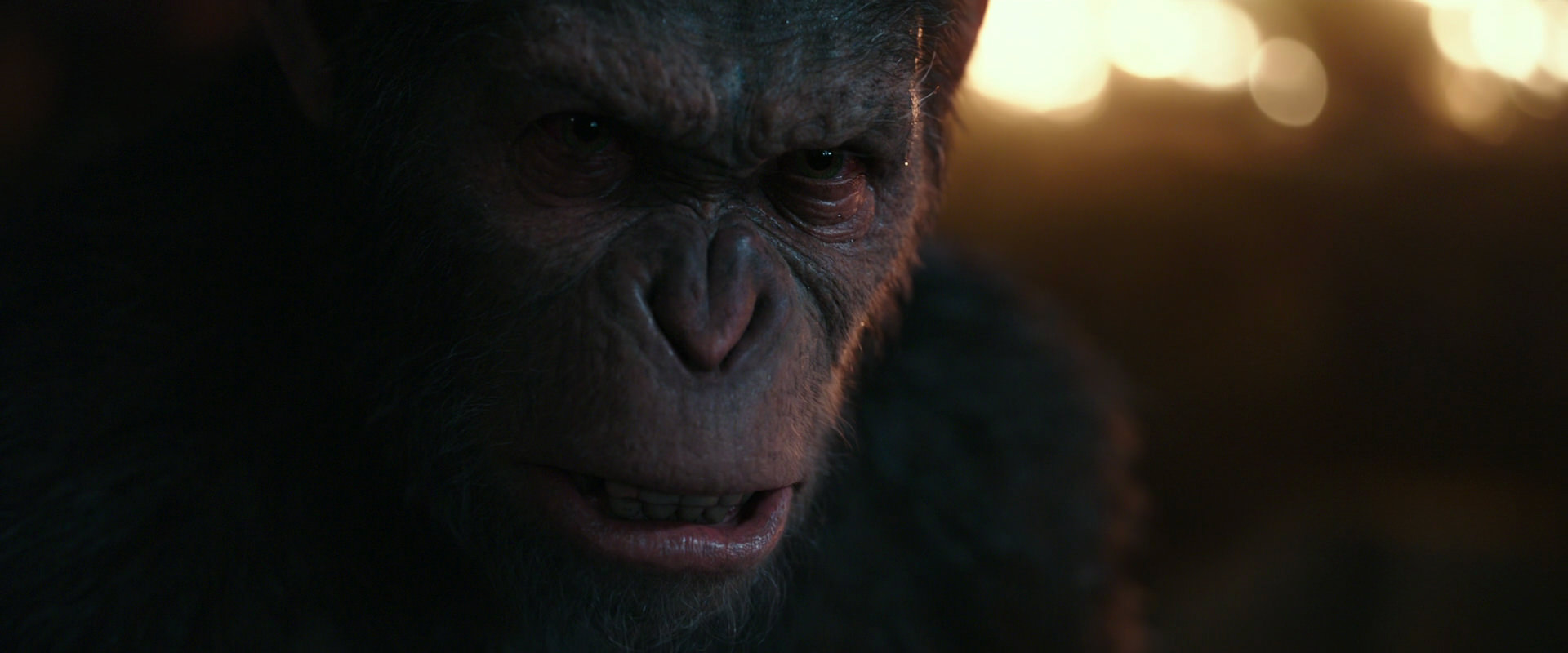War for the Planet of the Apes (2017) screencap 2469