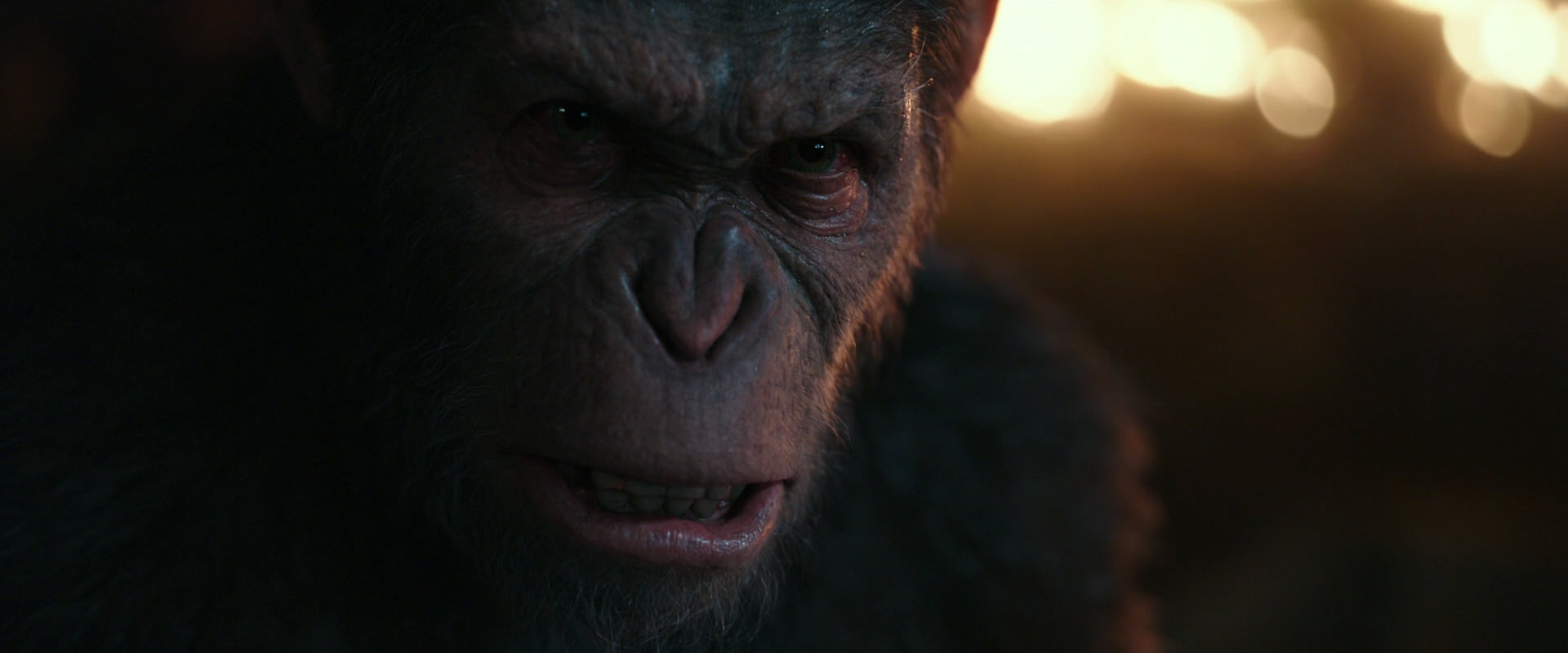 War for the Planet of the Apes (2017) movie still 2470