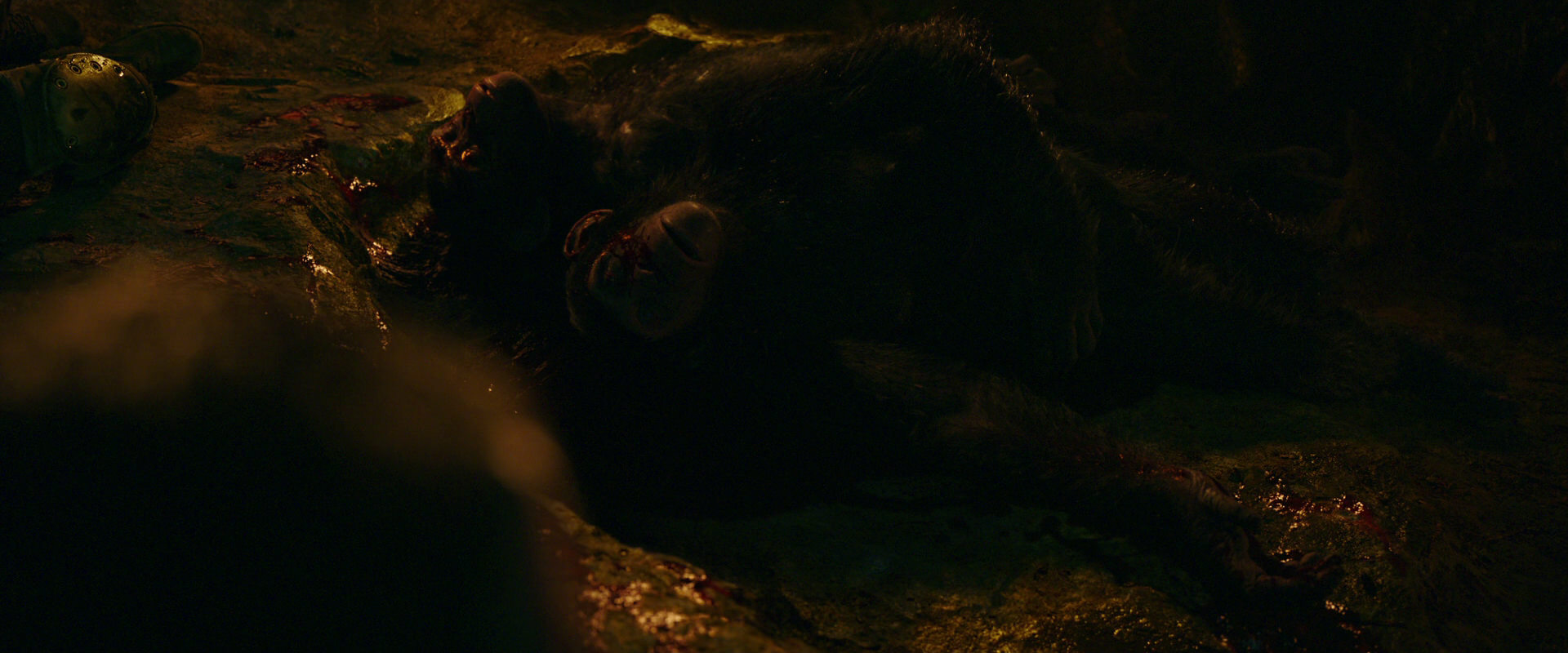 War for the Planet of the Apes (2017) screencap 2505