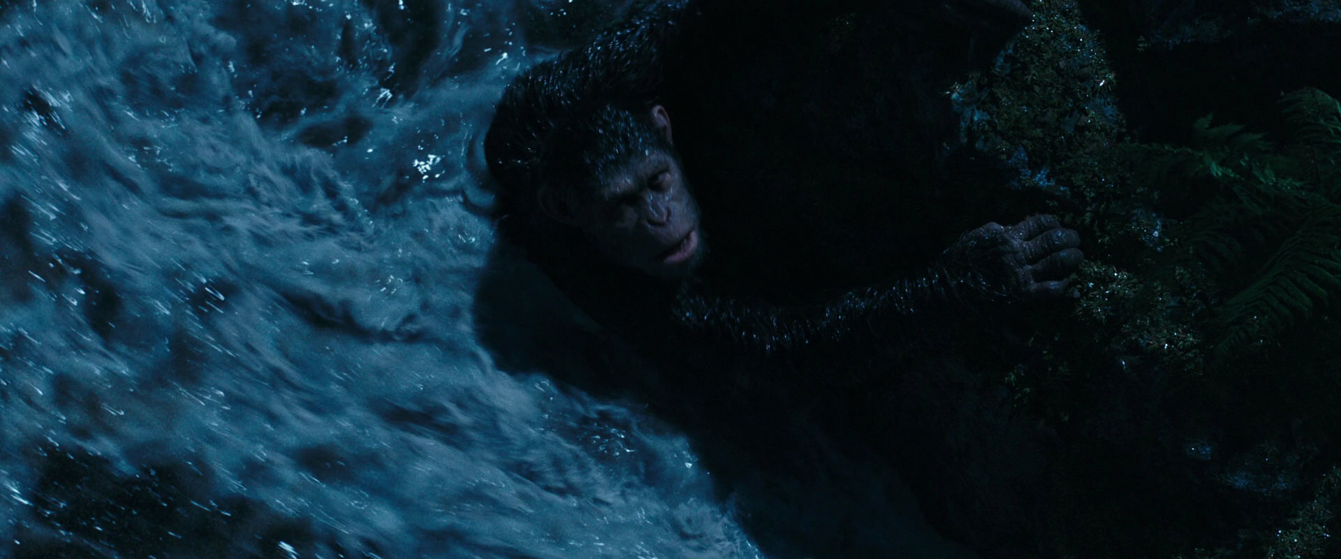 War for the Planet of the Apes (2017) HD screenshot 2579