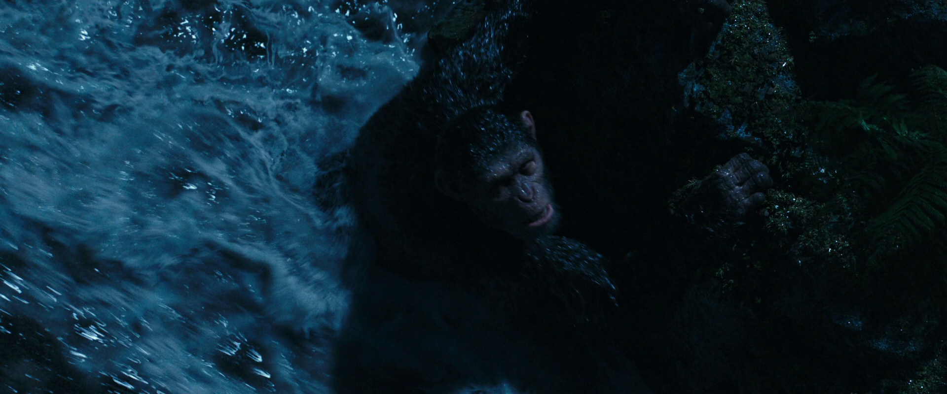 War for the Planet of the Apes (2017) screencap 2580