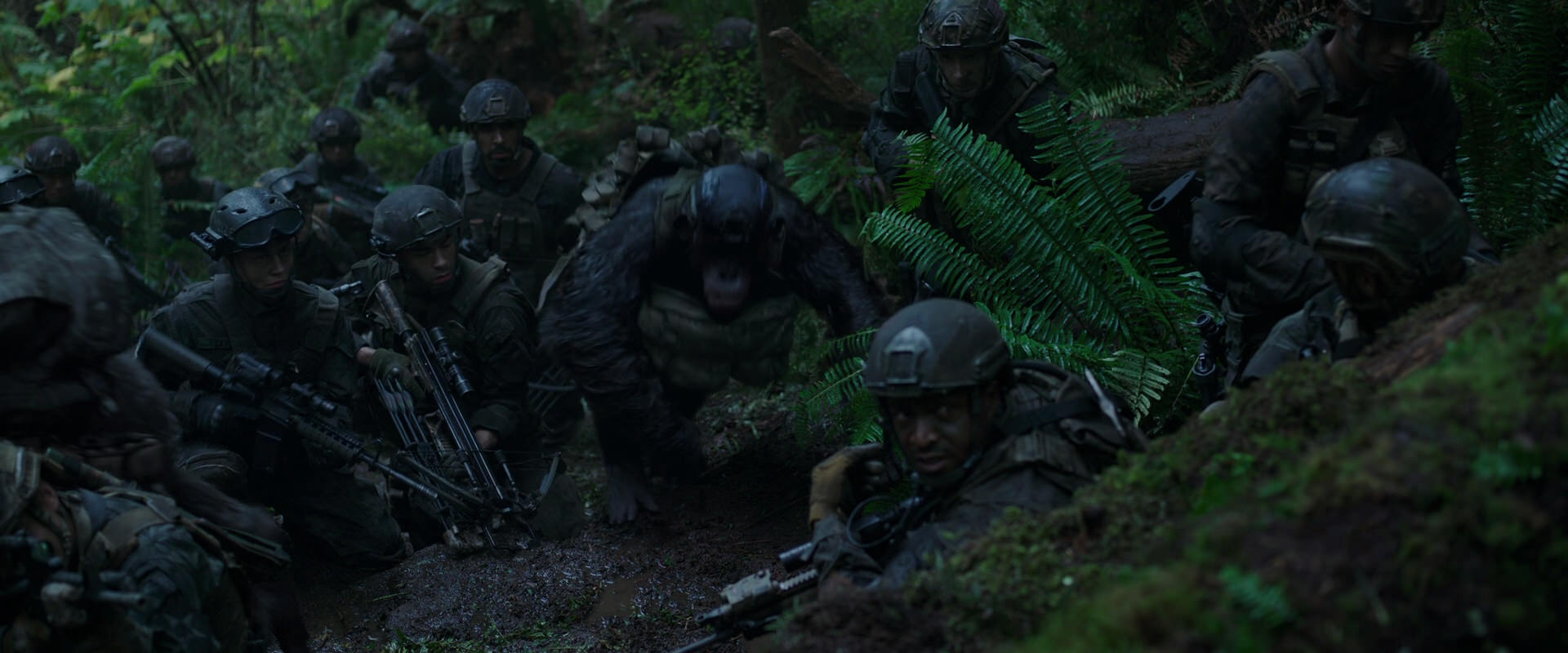 War for the Planet of the Apes (2017) movie still 259