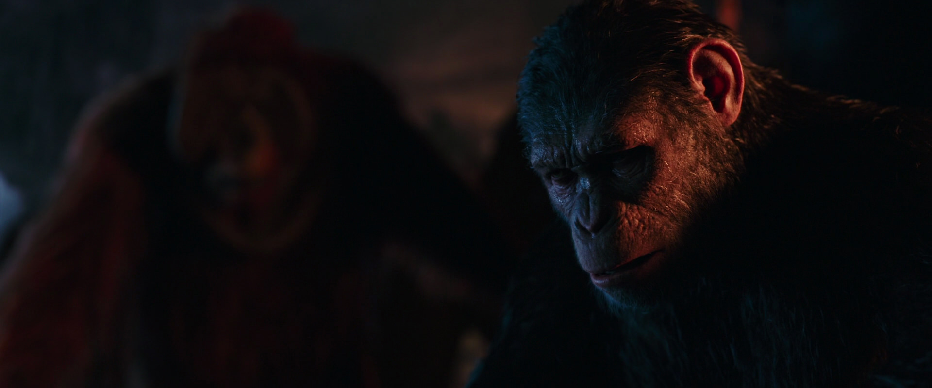 War for the Planet of the Apes (2017) HD screenshot 2597