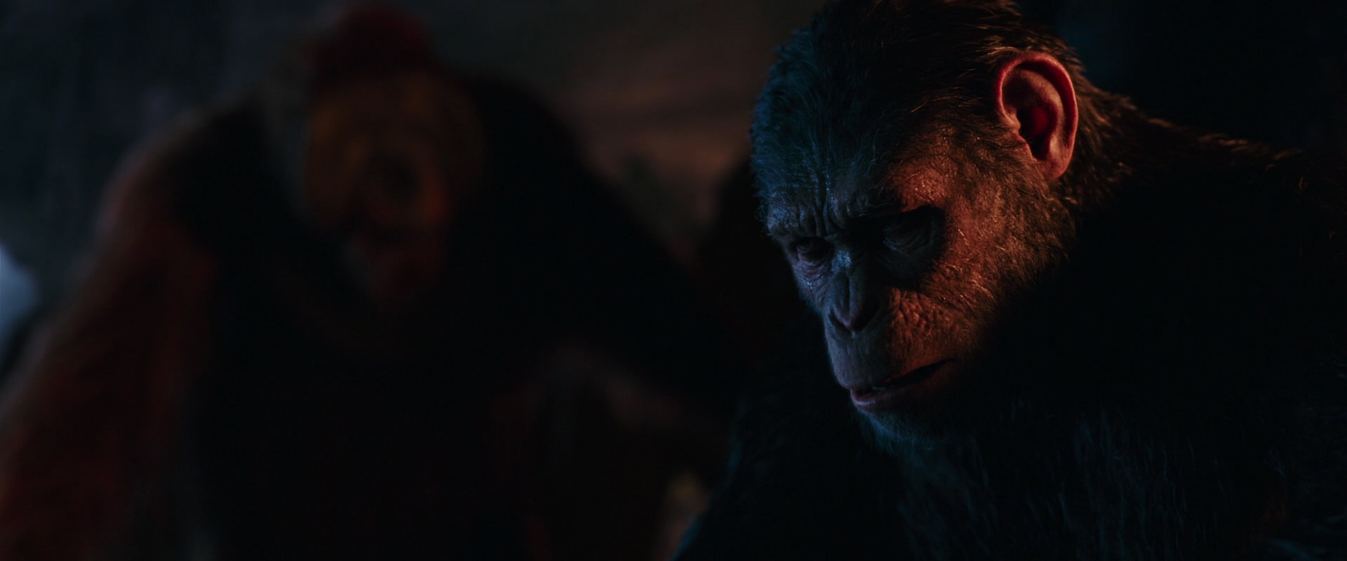 War for the Planet of the Apes (2017) screencap 2598