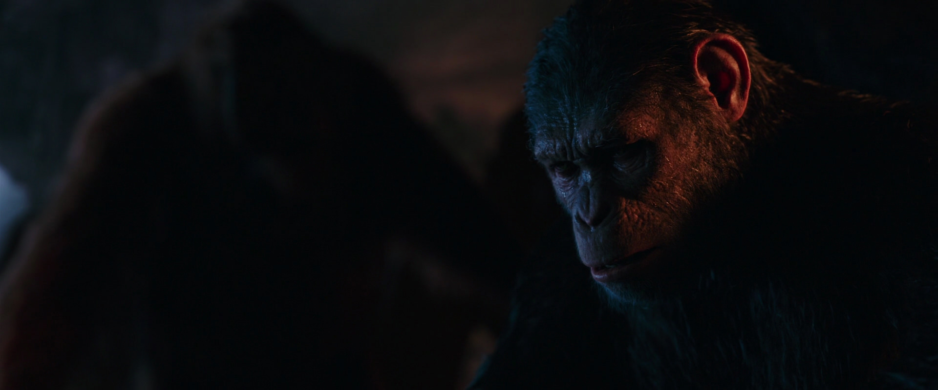 War for the Planet of the Apes (2017) movie still 2599