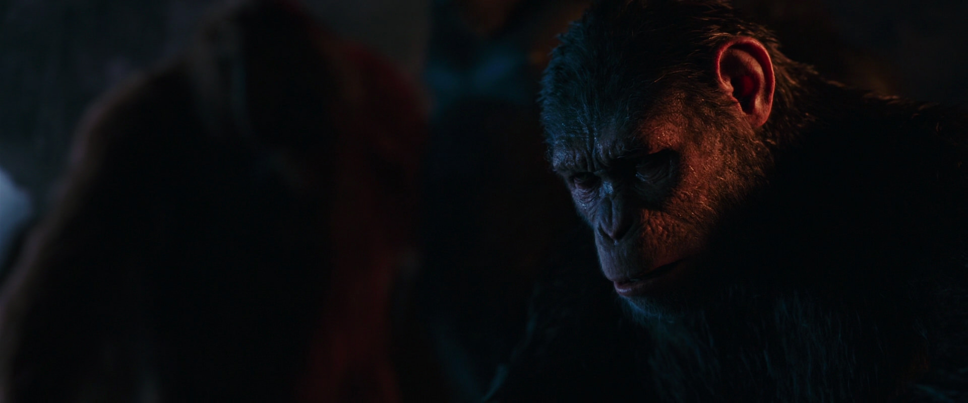 War for the Planet of the Apes (2017) HD screenshot 2600