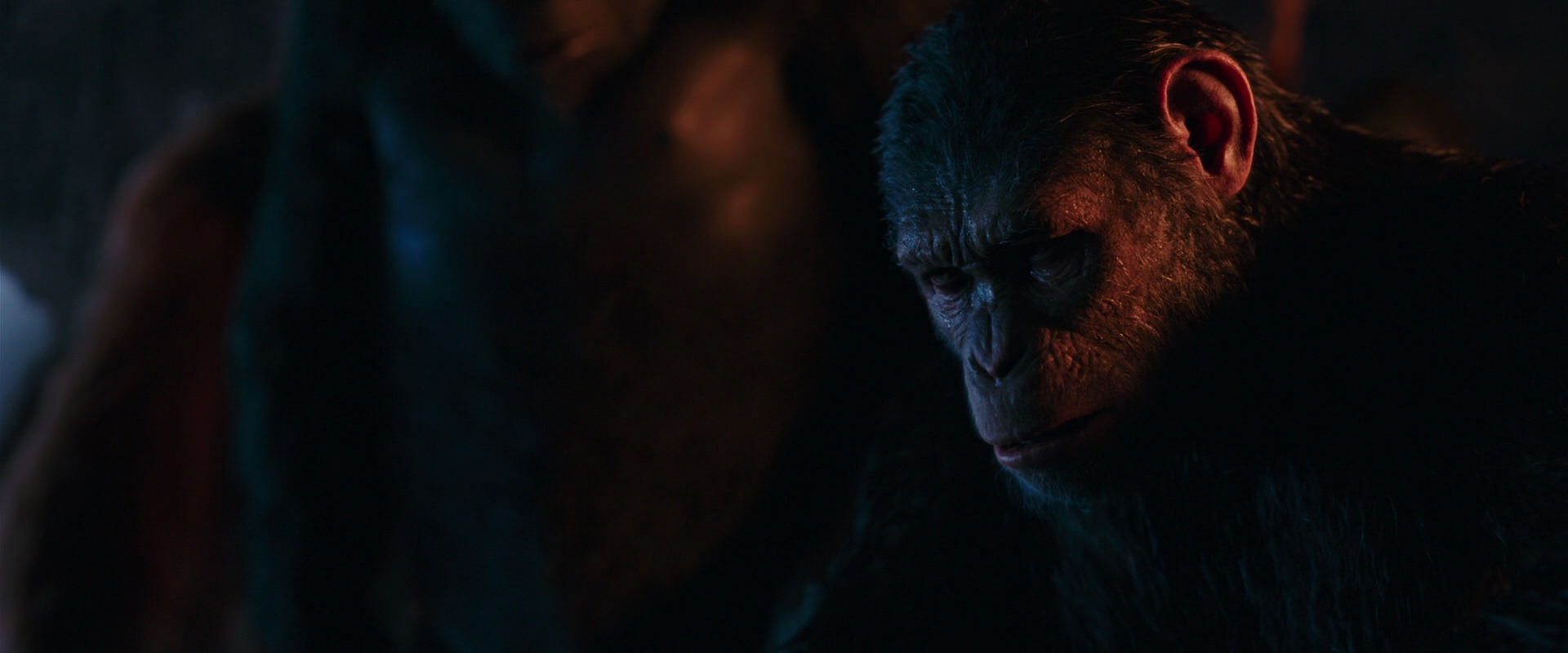 War for the Planet of the Apes (2017) movie still 2602