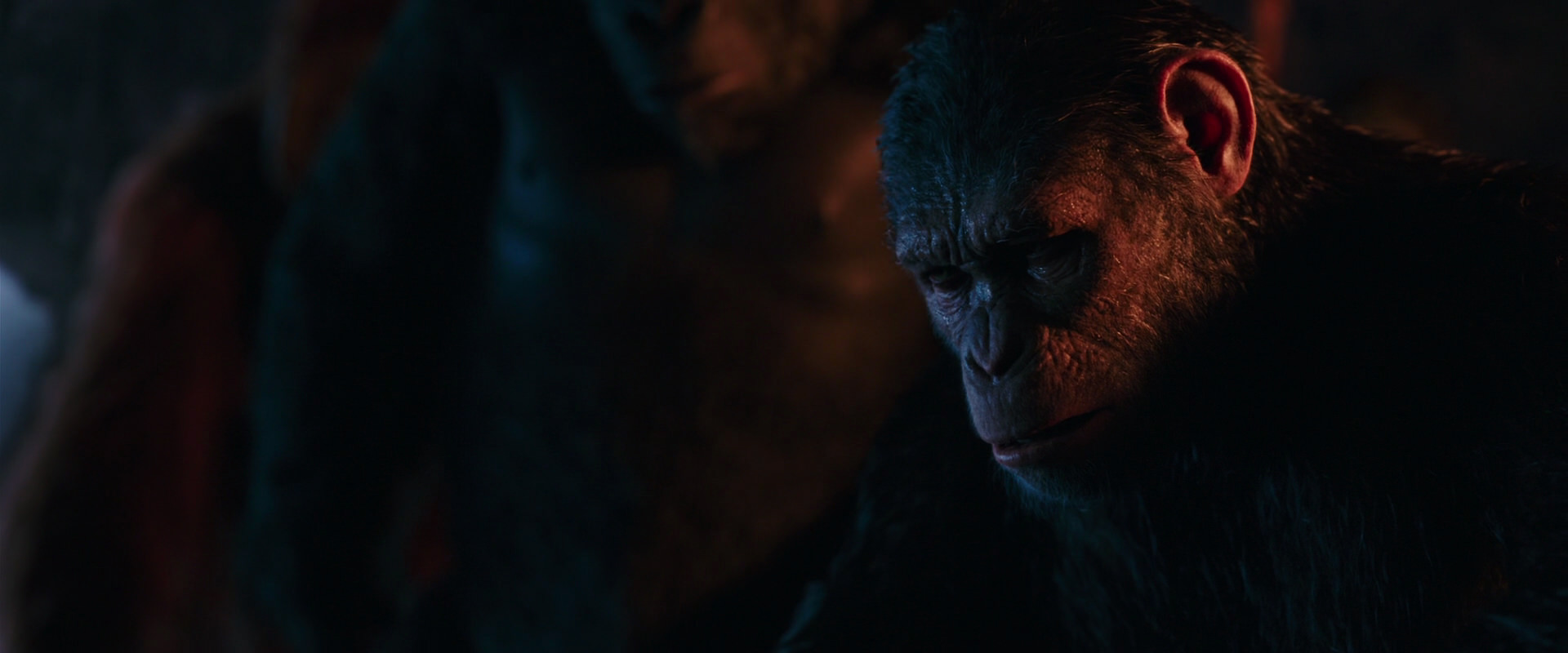 War for the Planet of the Apes (2017) HD screenshot 2603