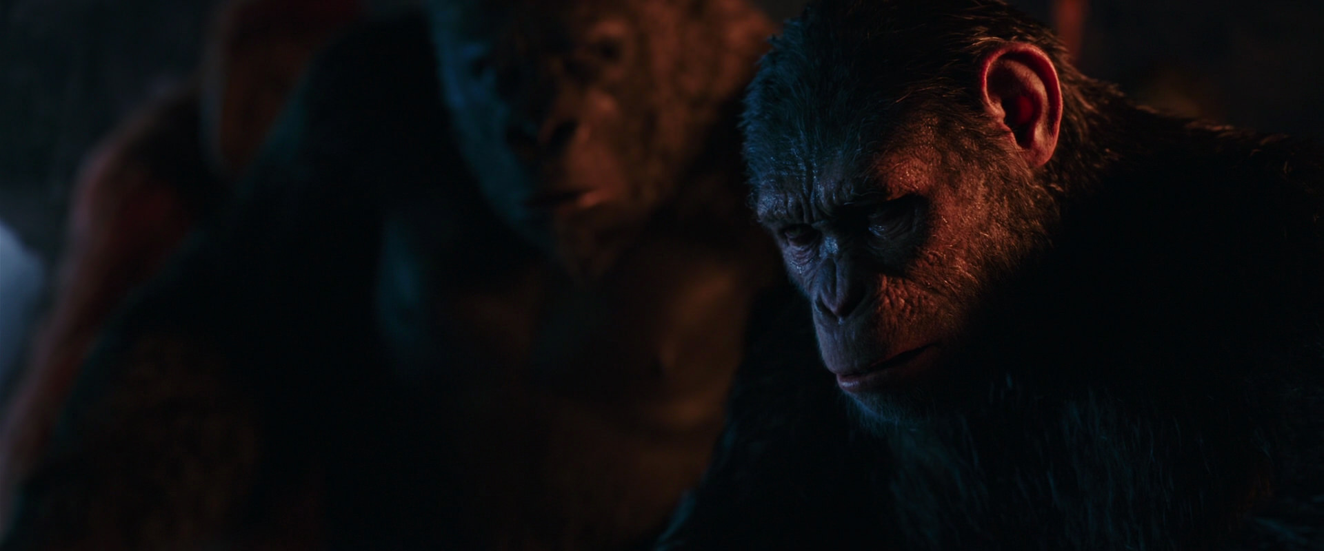 War for the Planet of the Apes (2017) screencap 2604