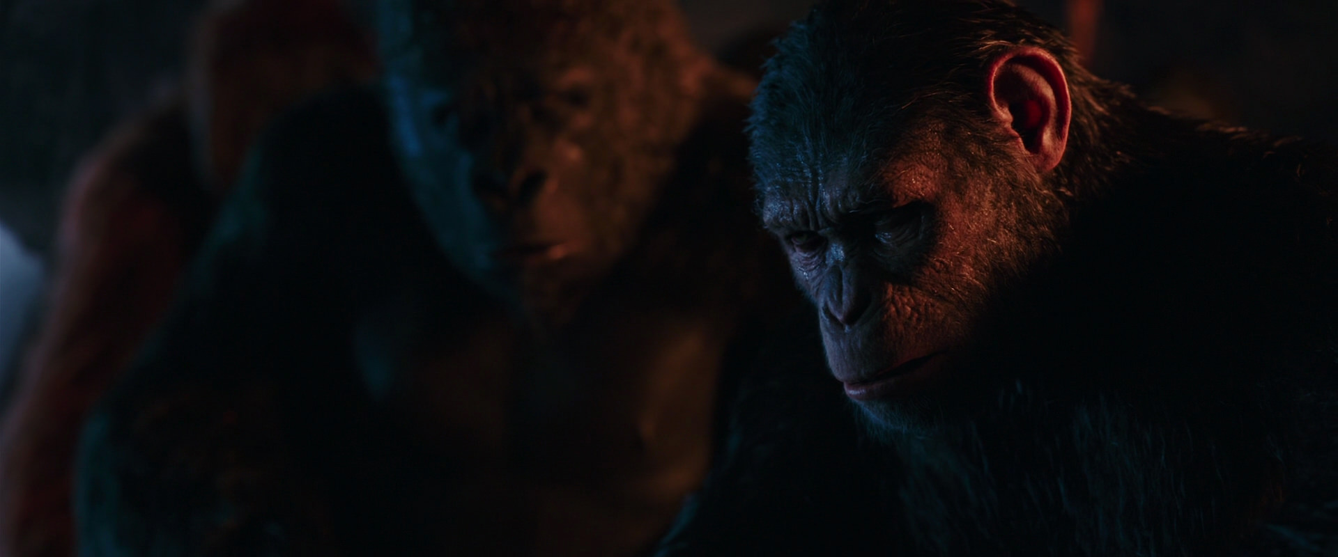 War for the Planet of the Apes (2017) movie still 2605