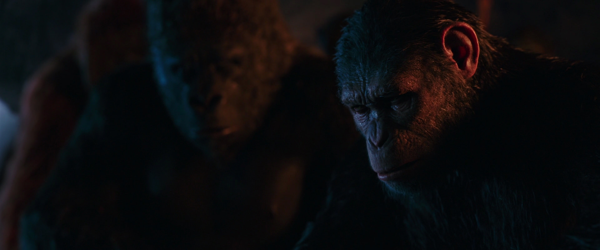 War for the Planet of the Apes (2017) HD screenshot 2606