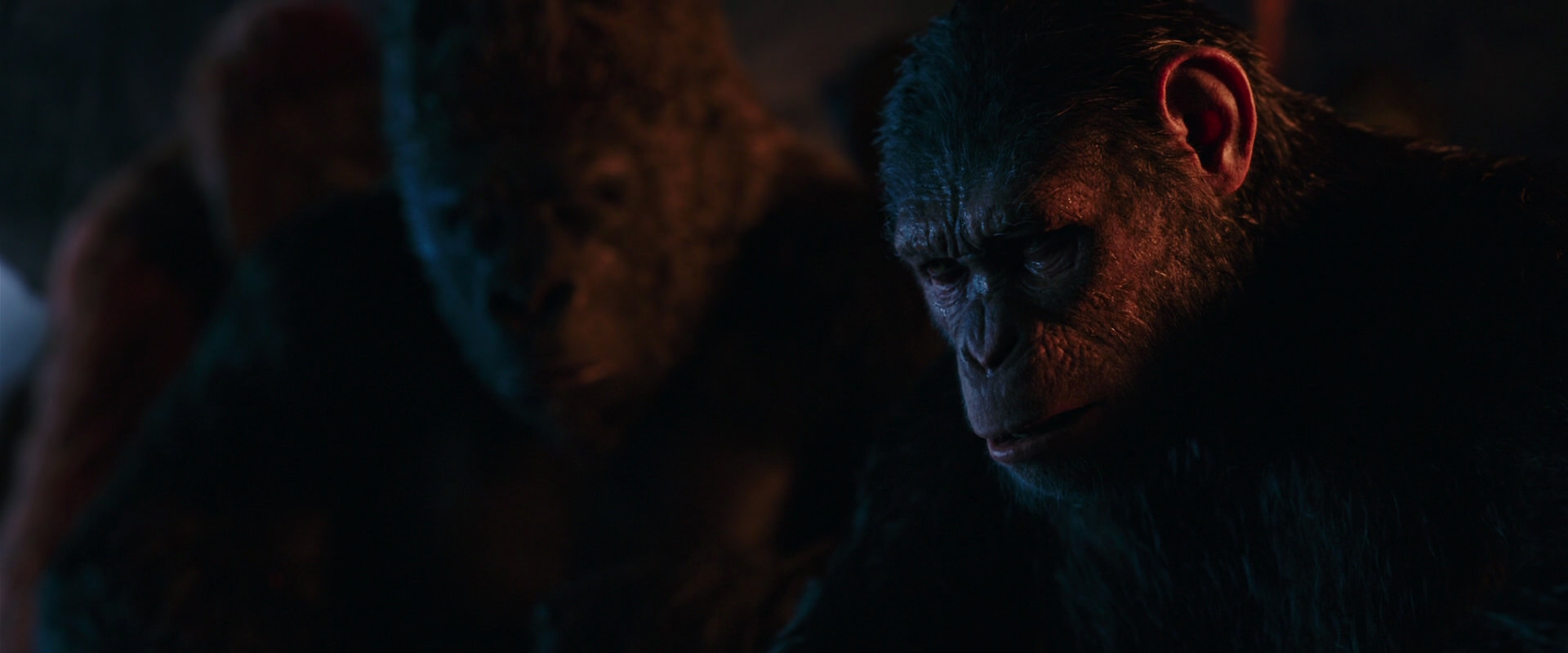 War for the Planet of the Apes (2017) screencap 2607