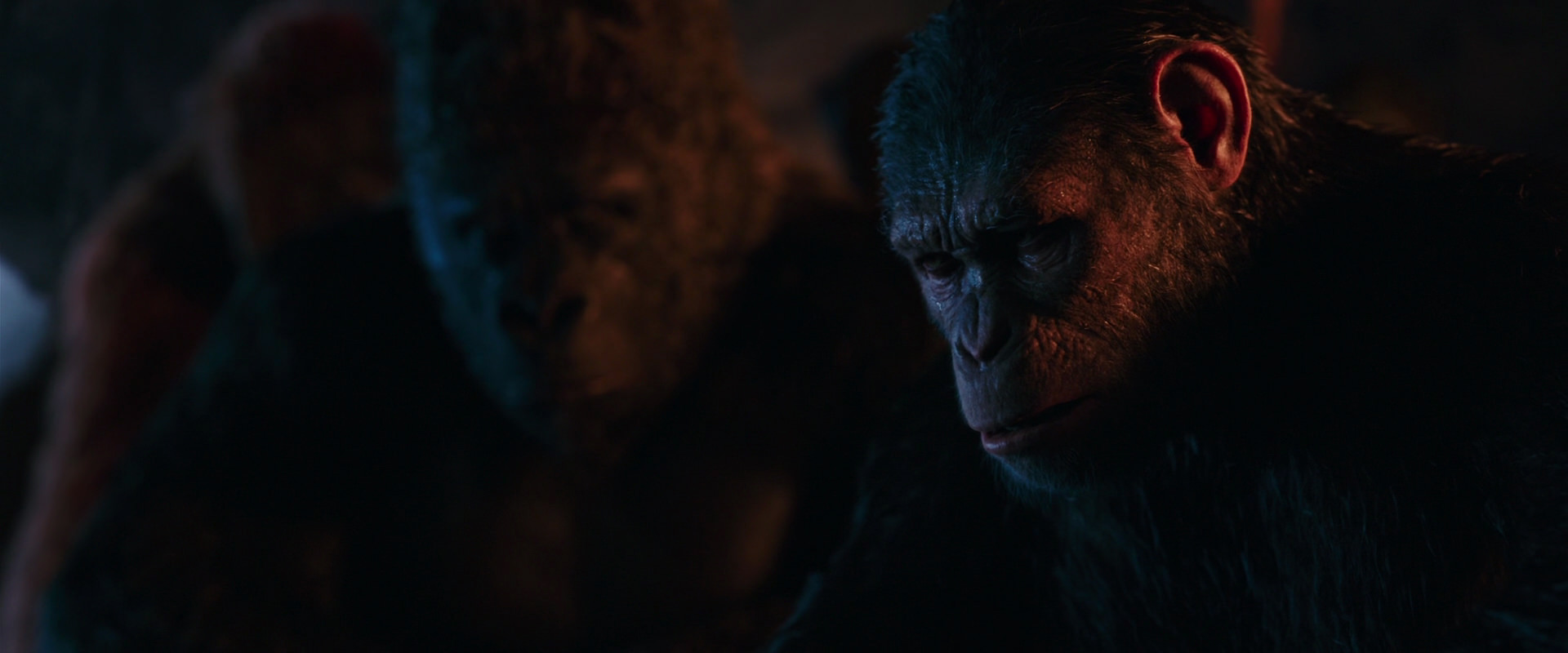 War for the Planet of the Apes (2017) movie still 2608