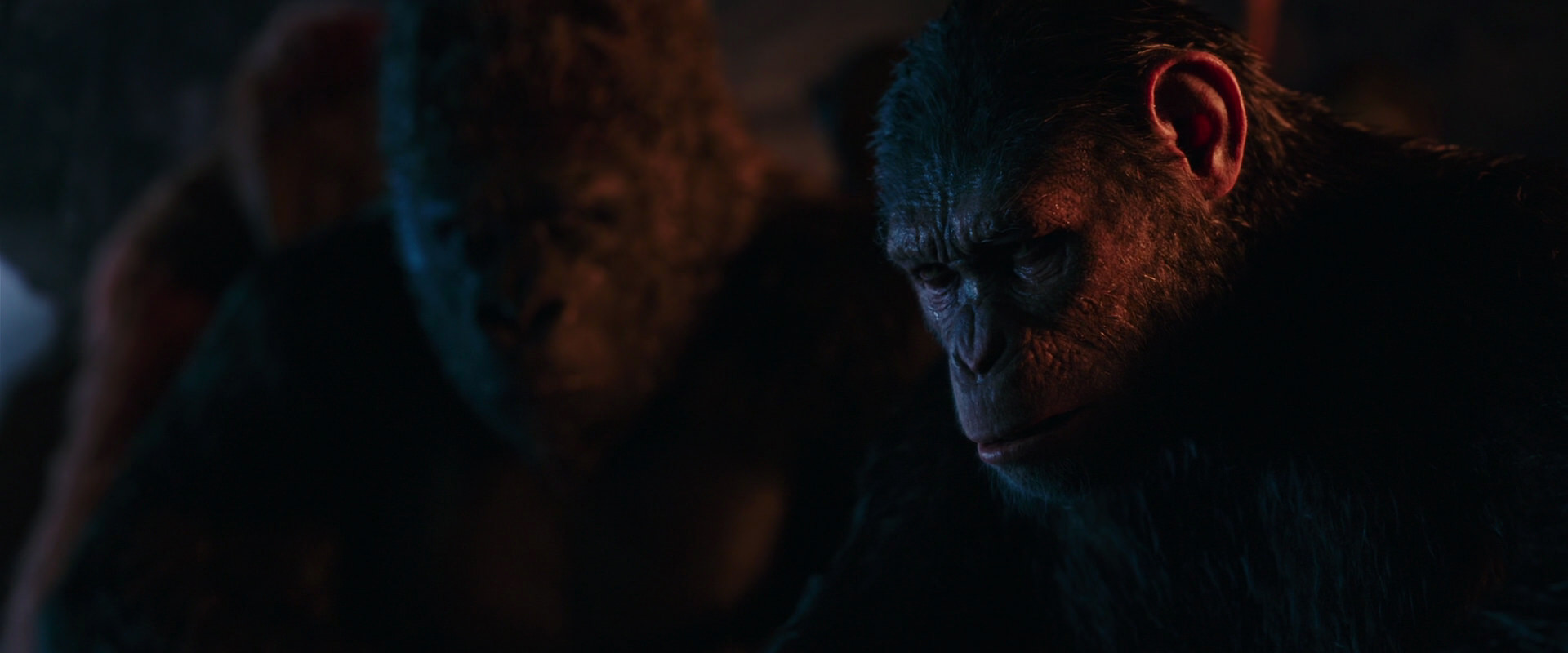 War for the Planet of the Apes (2017) HD screenshot 2609
