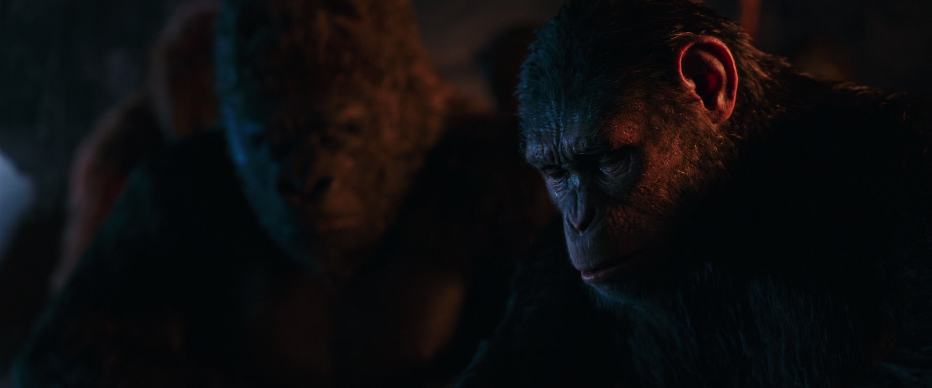 War for the Planet of the Apes (2017) screencap 2610