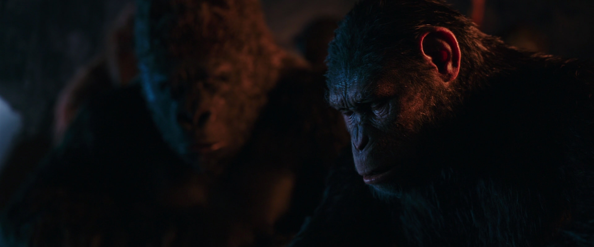 War for the Planet of the Apes (2017) movie still 2611