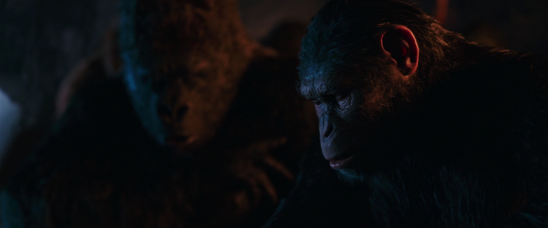 War for the Planet of the Apes (2017) HD screenshot 2612