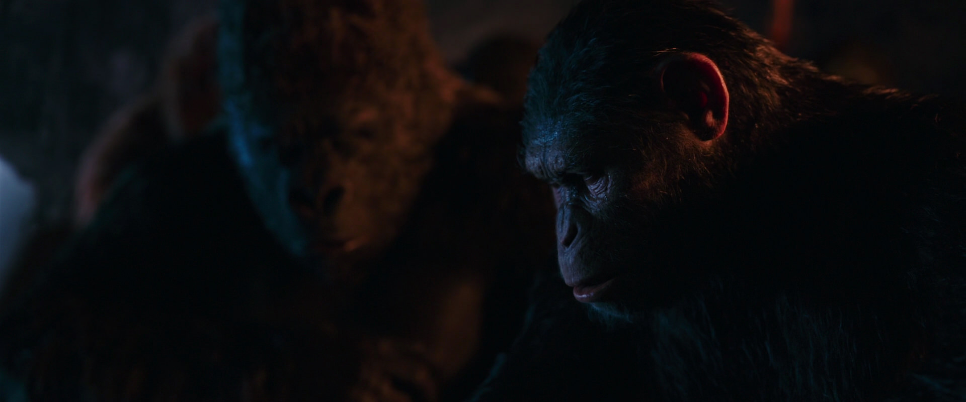 War for the Planet of the Apes (2017) screencap 2613
